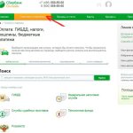 document number in Sberbank Online